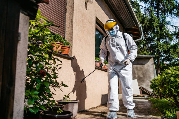 Best Bed Bug Extermination  in Sumrall, MS