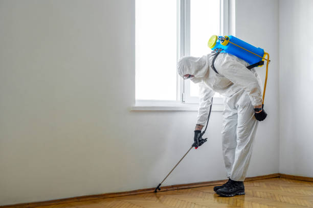 Best Exterminator Services  in Sumrall, MS