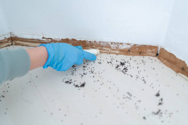 Pest Control Cost in Sumrall, MS